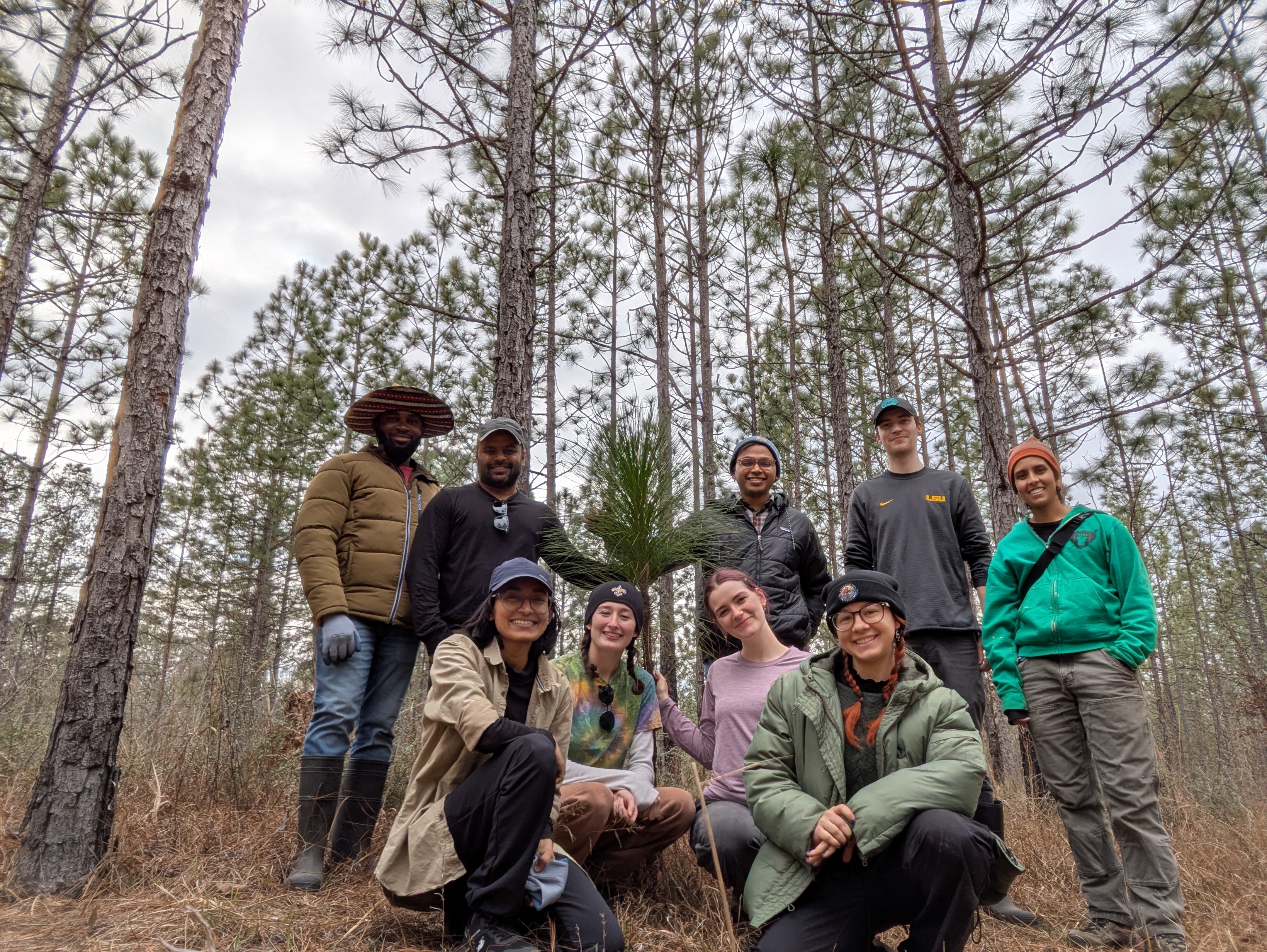 lab at Lee forest